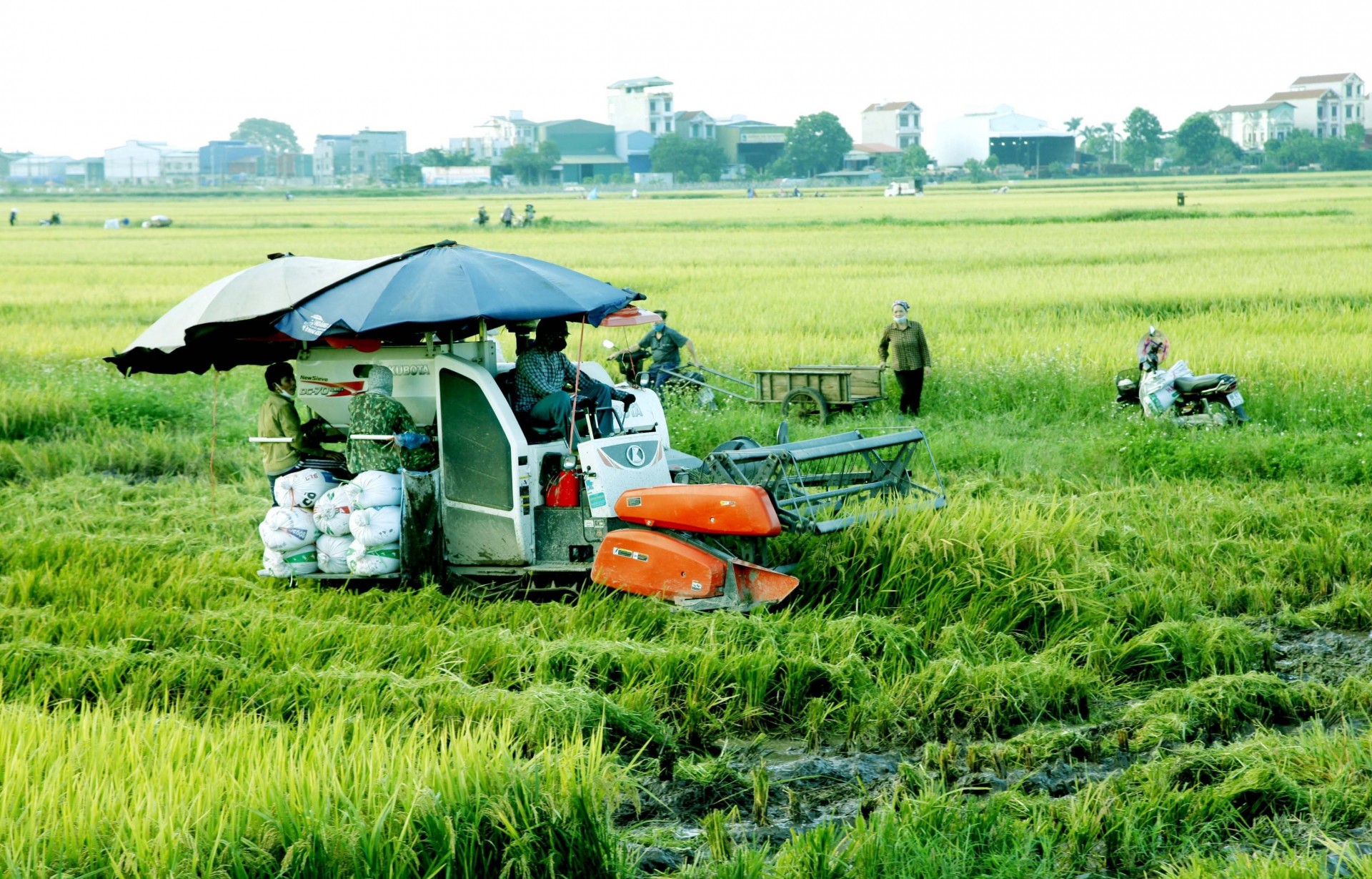 Nông dân tích cực đưa cơ giới hóa vào sản xuất.