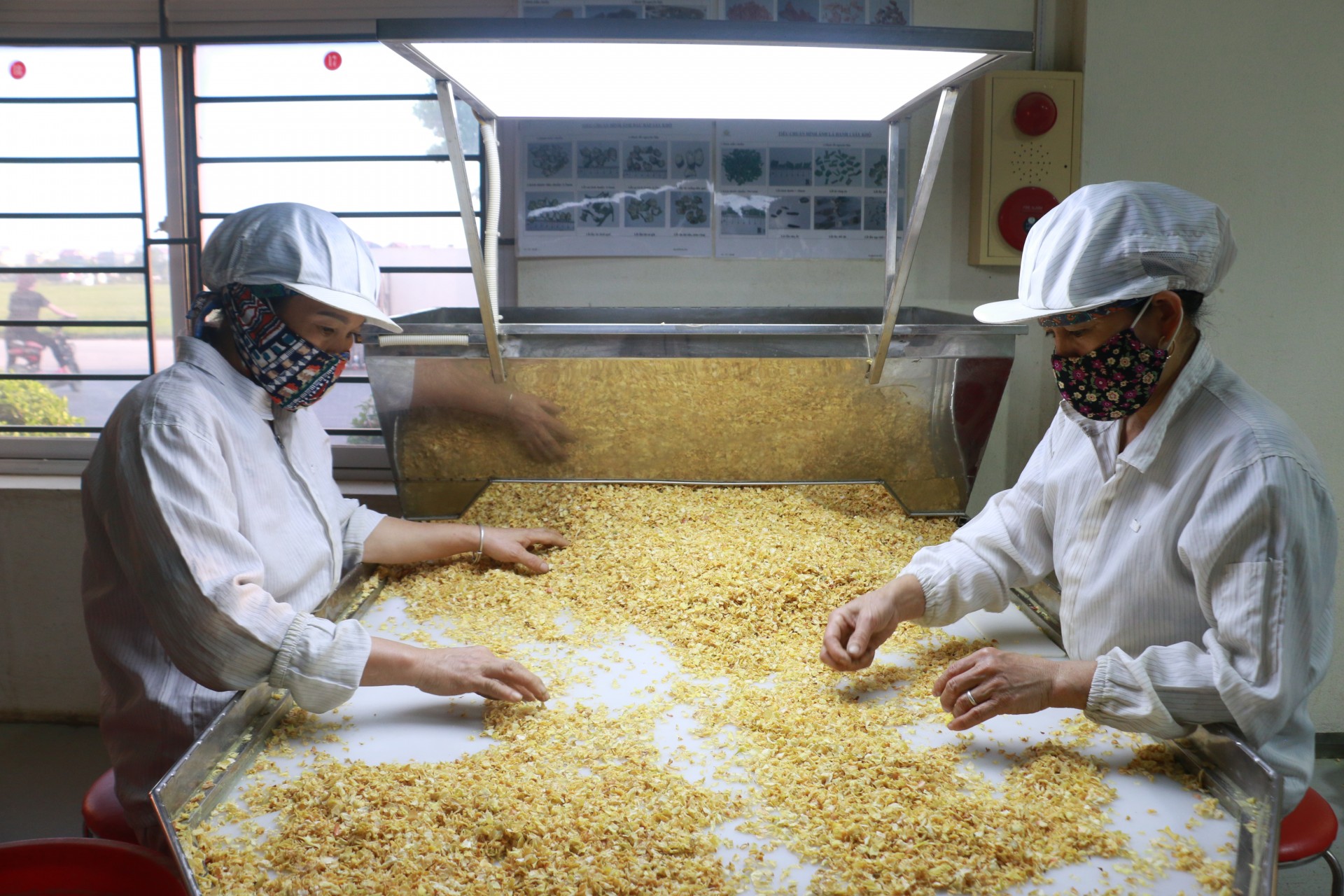 Xúc tiến tiêu thụ nông sản và sản phẩm OCOP của TP Hải Dương Xúc tiến tiêu thụ nông sản và sản phẩm OCOP của TP Hải Dương