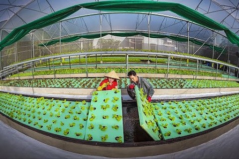GIẢM Ô NHIỄM MÔI TRƯỜNG LÀNG NGHỀ CHĂM SÓC SỨC KHỎE NGƯỜI DÂN LÀ NHIỆM VỤ TRỌNG TÂM