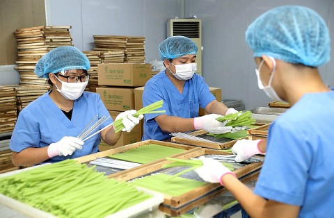 Hưởng ứng “sống xanh” với sản phẩm ống hút rau củ - Sản phẩm OCOP tiềm năng 5 sao