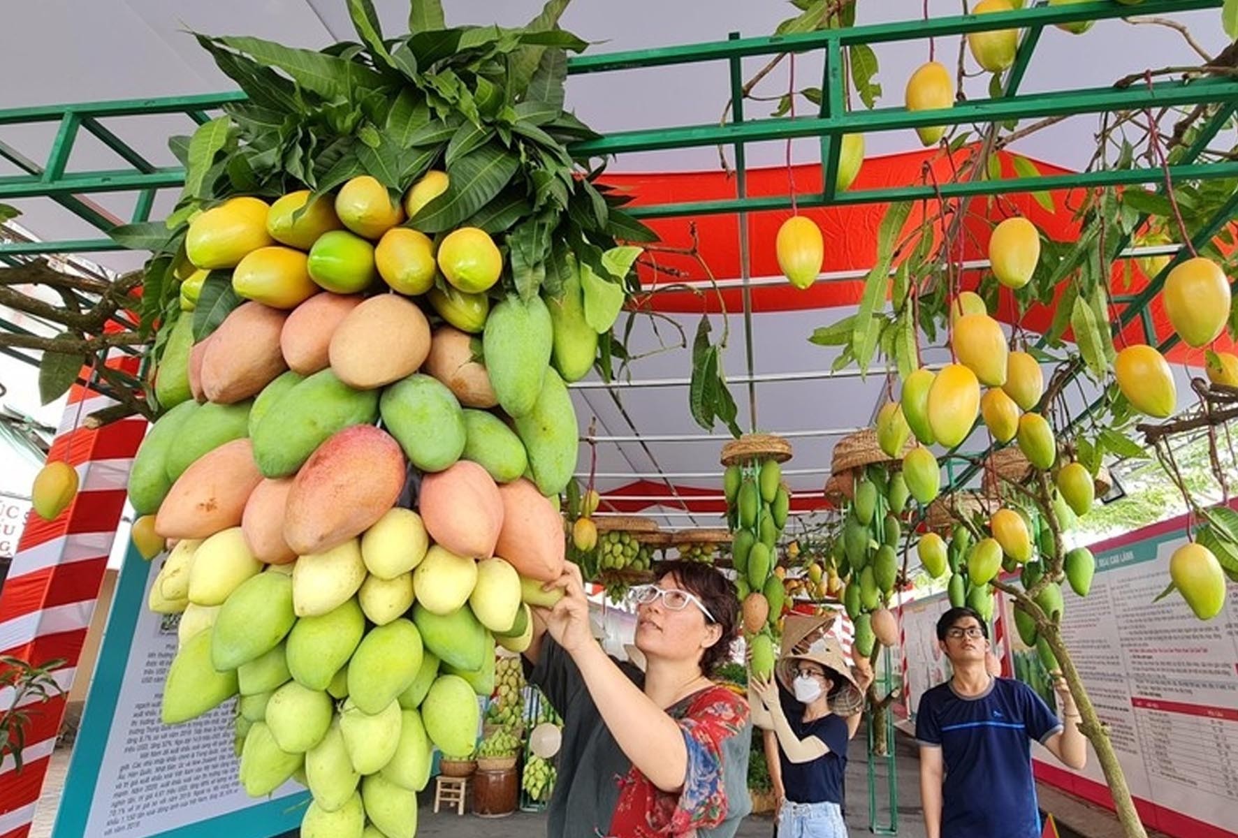 Lễ hội Xoài Đồng Tháp Lễ hội Xoài Đồng Tháp
