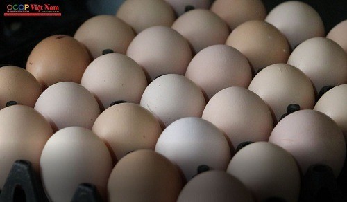 Sản phẩm trứng gà Chấn Hưng sản phẩm OCOP 3 sao Sản phẩm trứng gà Chấn Hưng sản phẩm OCOP 3 sao