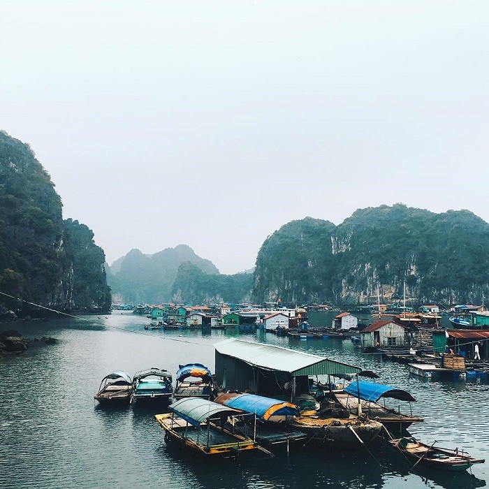 Làng chài Cái Bèo hàng ngàn năm tuổi ở Cát Bà Làng chài Cái Bèo hàng ngàn năm tuổi ở Cát Bà