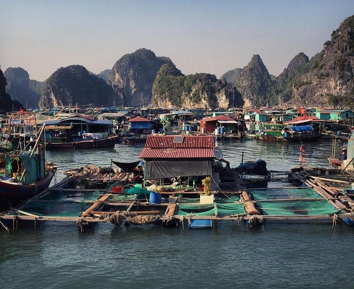 Làng chài Cái Bèo hàng ngàn năm tuổi ở Cát Bà