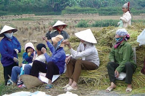 Vĩnh Phúc: Đào tạo nghề lao động nông thôn góp phần xây dựng nông thôn mới