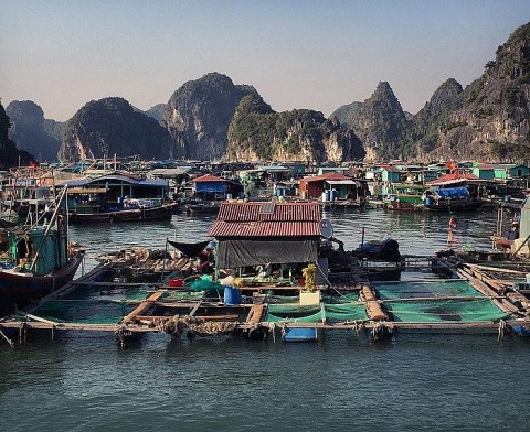 Làng chài Cái Bèo hàng ngàn năm tuổi ở Cát Bà