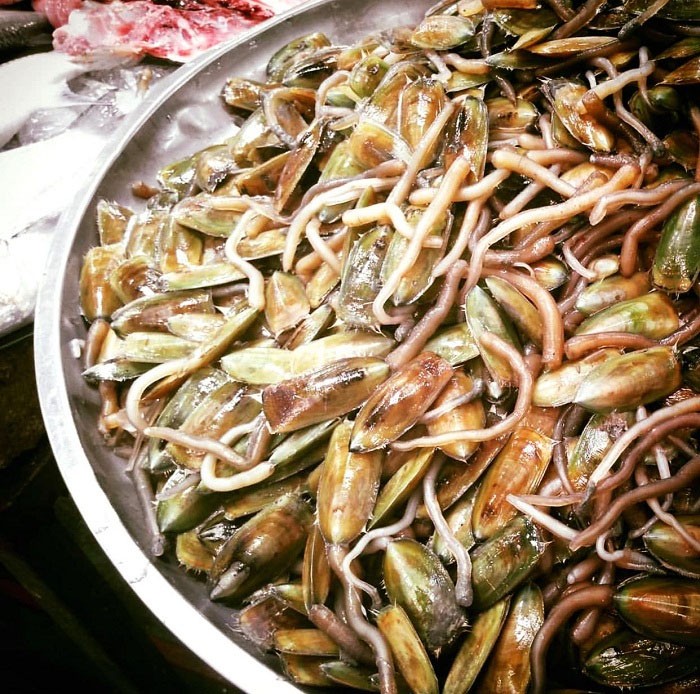 Con giá bể sống ẩn mình dưới cát biển và là một loại nhuyễn thể. Con giá bể sống ẩn mình dưới cát biển và là một loại nhuyễn thể.