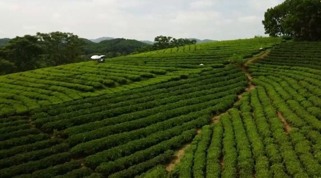 Xây dựng thương hiệu OCOP - Nâng cao giá trị sản phẩm truyền thống Xây dựng thương hiệu sản phẩm OCOP mang đặc trưng truyền thống