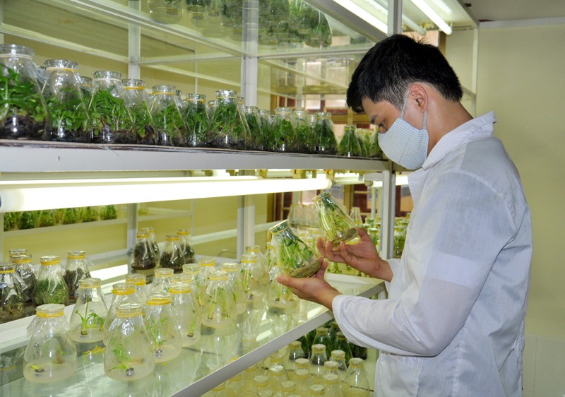 Vĩnh Phúc: Phát huy vai trò của khoa học và công nghệ trong xây dựng nông thôn mới