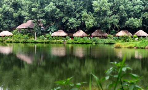 Khai phá tiềm năng du lịch nông nghiệp, nông thôn