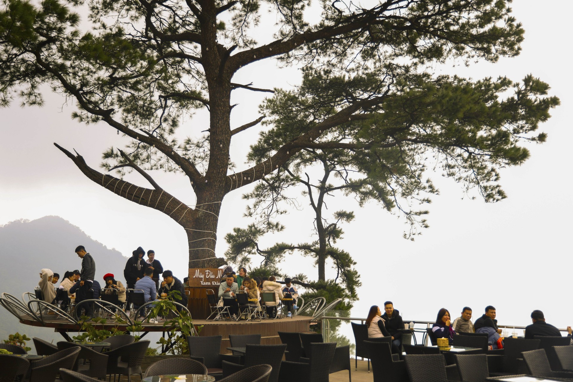 Tam Đảo thị trấn điểm đến hàng đầu thế giới