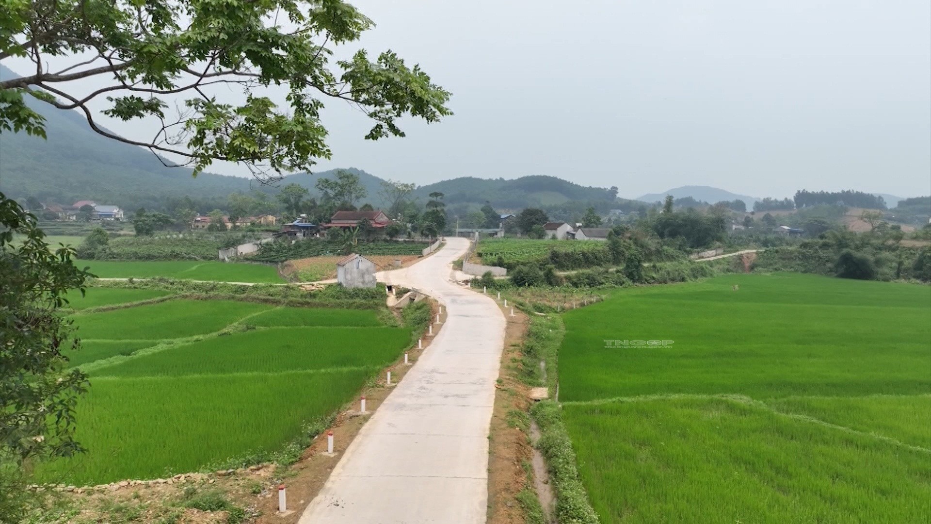 Huyện Đại Từ nỗ lực hoàn thiện các tiêu chí huyện nông thôn mới