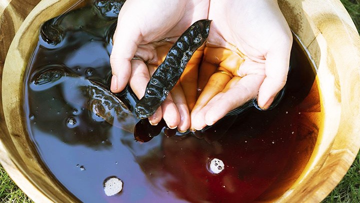 Hương bồ kết quê nhà Hương bồ kết quê nhà