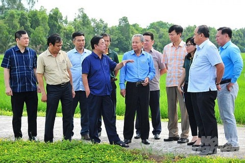Bộ trưởng Bộ NN-PTNT Lê Minh Hoan: Xây dựng hệ sinh thái ngành lúa gạo cho tương lai