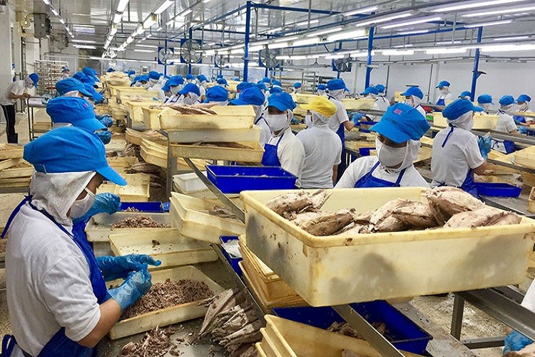 Phú Yên: Tổ chức bình chọn sản phẩm công nghiệp nông thôn tiêu biểu cấp tỉnh