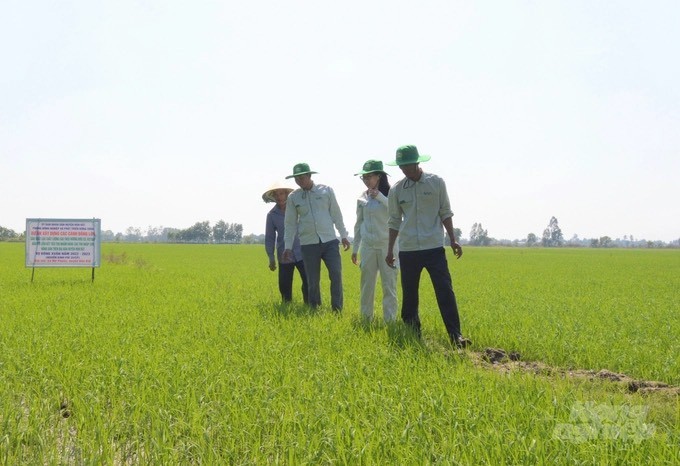 Bộ NN-PTNT đề nghị các địa phương quan tâm chỉ đạo đẩy mạnh công tác khuyến nông. Trong đó, tập trung củng cố và phát triển các mô hình khuyến nông cộng đồng. Ảnh: LHV.