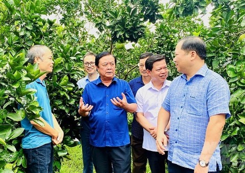 Đưa khuyến nông cộng đồng thành lực lượng chủ lực ngành nông nghiệp ở cơ sở