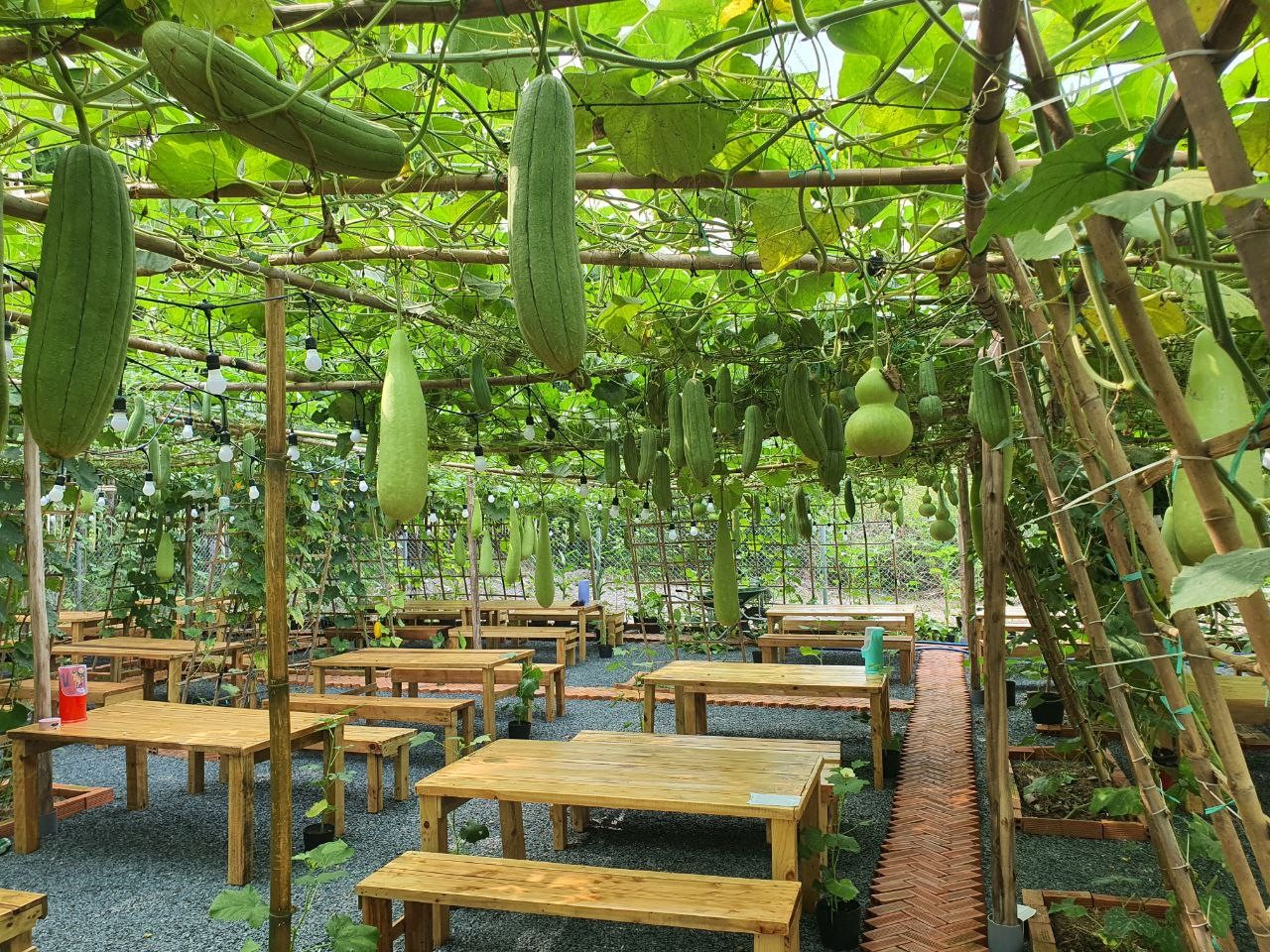 Bình Phước: Mô hình kinh doanh kết hợp với nông nghiệp xanh Bình Phước: Mô hình kinh doanh kết hợp với nông nghiệp xanh