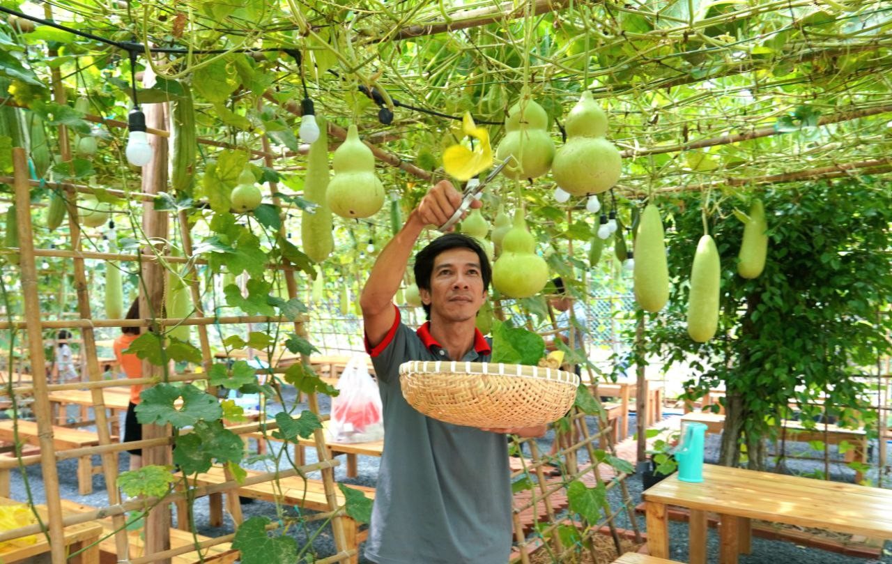 Anh Nguyễn Thành Trung chăm sóc khu vườn Anh Nguyễn Thành Trung chăm sóc khu vườn