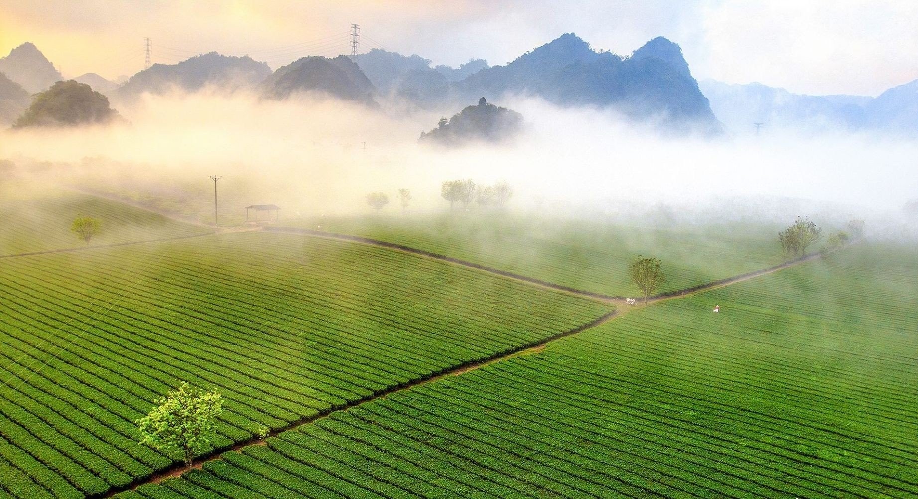 Đến Mộc Châu tham gia Ngày hội du lịch văn hóa 2023 Đến Mộc Châu tham gia Ngày hội du lịch văn hóa 2023