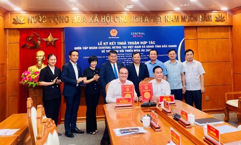 Năm 2023, Tập đoàn Central Retail Việt Nam sẽ tiêu thụ khoảng 300 Tấn vải Lục Ngạn, Bắc Giang