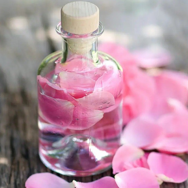 Hoa hồng được coi là  Lợi ích của hoa hồng đối với sức khỏe và sắc đẹp