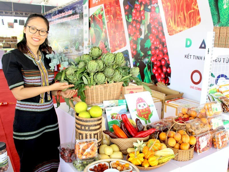 Các sản phẩm độc đáo của gian hàng tỉnh Lâm Đồng Các sản phẩm độc đáo của gian hàng tỉnh Lâm Đồng