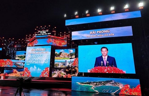 Lễ hội Hoa phượng đỏ Hải Phòng và dấu ấn 10 năm