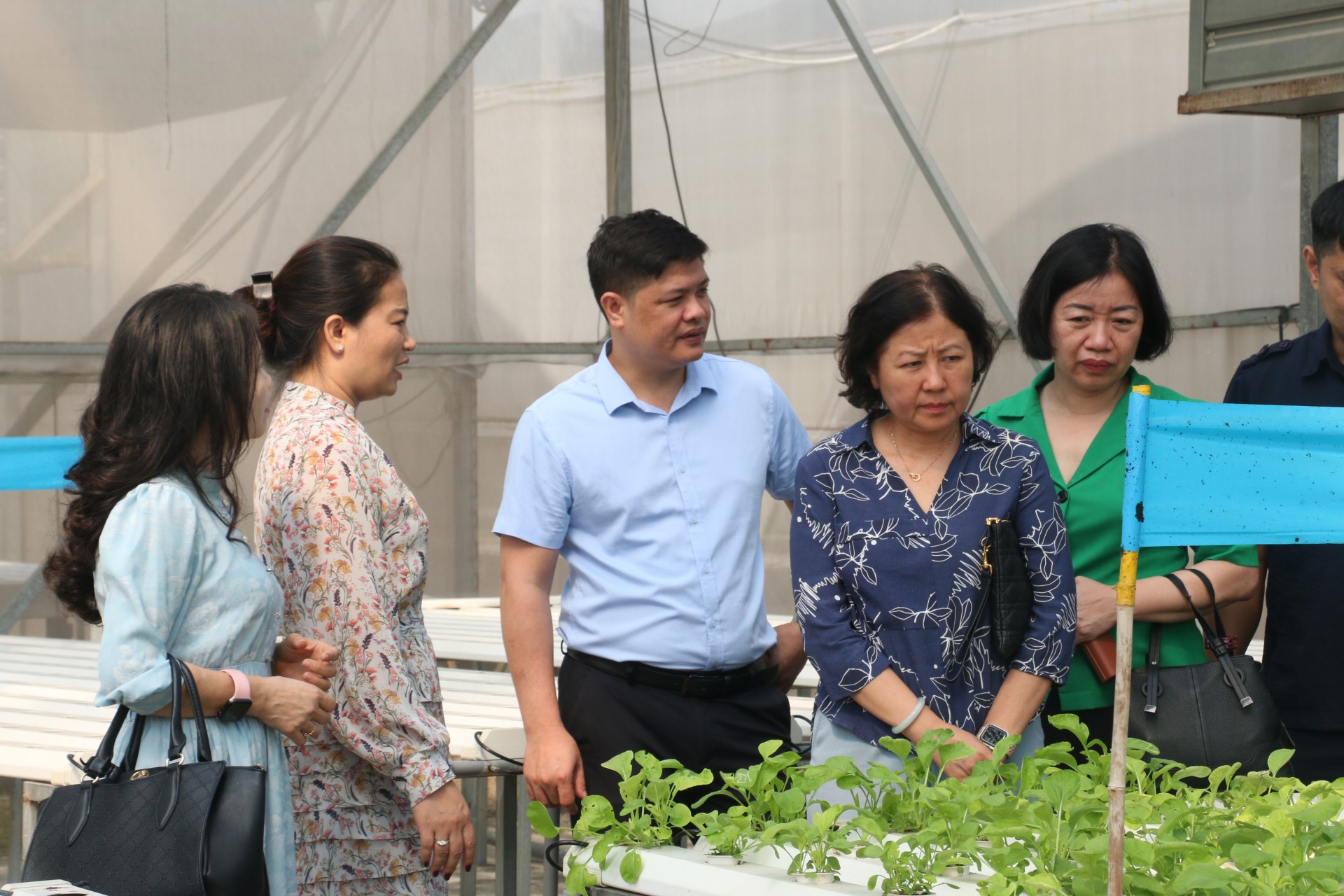 Đảm bảo an ninh, an toàn thực phẩm trong tình hình mới