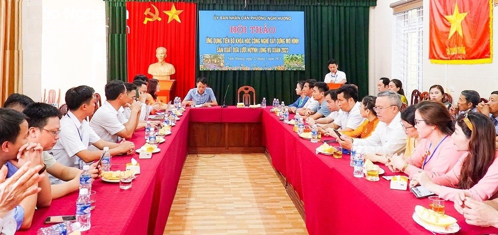 Mô hình dưa lưới nhà màng ở thị xã Cửa Lò