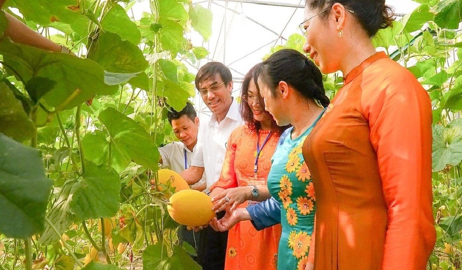 Các đồng chí lãnh đạo thị xã Cửa Lò thăm mô hình dưa lưới nhà màng. Ảnh: Phú Hương