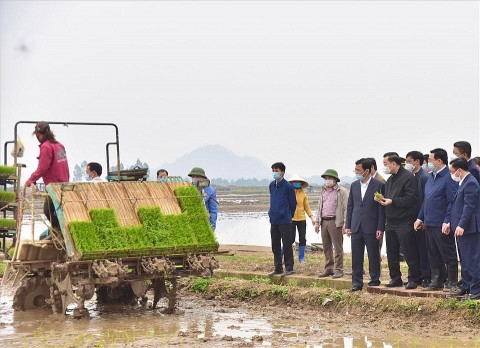 Nông dân Thạch Thất thi đua sản xuất, kinh doanh giỏi