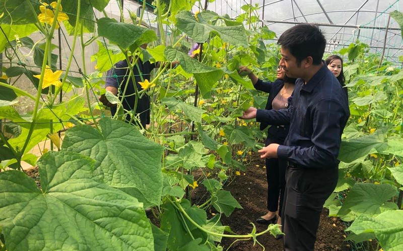 Nông dân Thạch Thất thi đua sản xuất, kinh doanh giỏi Nông dân Thạch Thất thi đua sản xuất, kinh doanh giỏi