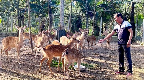 Các sản phẩm OCOP từ nhung hươu gắn với phát triển cộng đồng