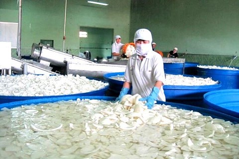 Bến Tre: Hỗ trợ các cơ sở công nghiệp nông thôn phát triển sản xuất