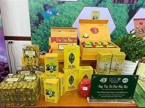 Sản phẩm OCOP rộng đường xuất khẩu qua nâng hạng sản phẩm