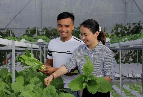 Thanh niên mạnh dạn khởi nghiệp gắn với mô hình hợp tác xã
