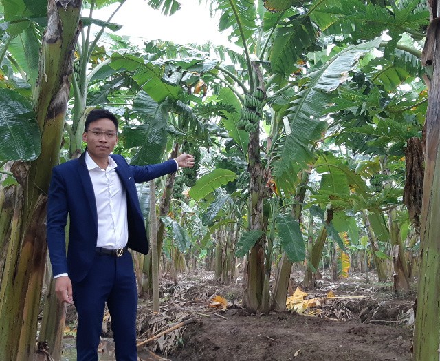 Thanh niên mạnh dạn khởi nghiệp gắn với mô hình hợp tác xã Thanh niên mạnh dạn khởi nghiệp gắn với mô hình hợp tác xã