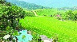 Thanh Hoá: huyện Bá Thước phát triển nông nghiệp gắn với nông thôn mới và du lịch