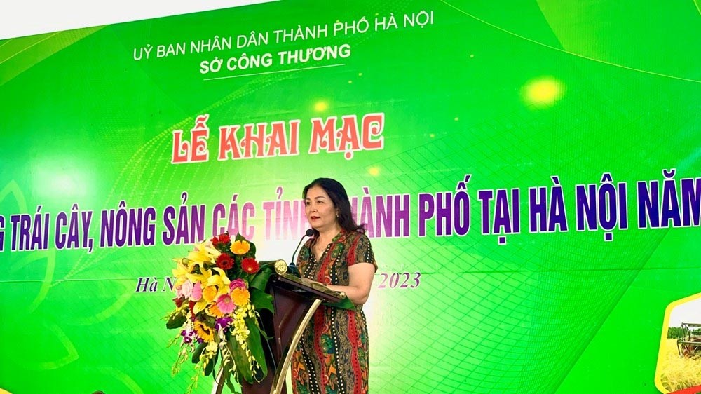 Bà Trần Thị Phương Lan, Quyền Giám đốc Sở Công Thương Hà Nội phát biểu 