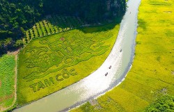Sắc vàng Tam Cốc-Tràng An: Cơ hội tiêu thụ sản phẩm OCOP Ninh Bình
