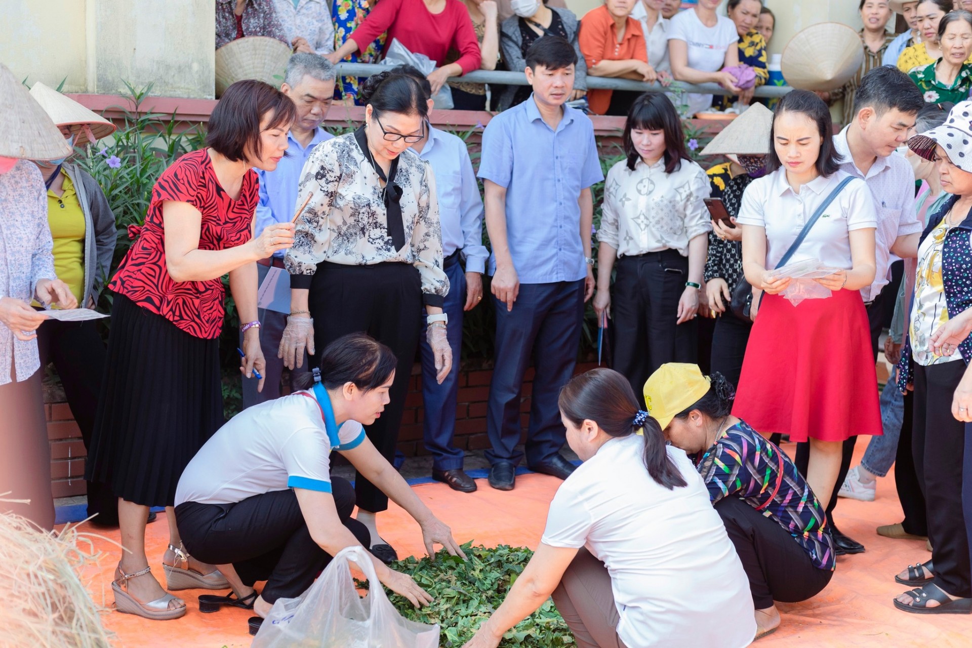 Phụ nữ tích cực tham gia xử lý rơm rạ sau thu hoạch Phụ nữ tích cực tham gia xử lý rơm rạ sau thu hoạch