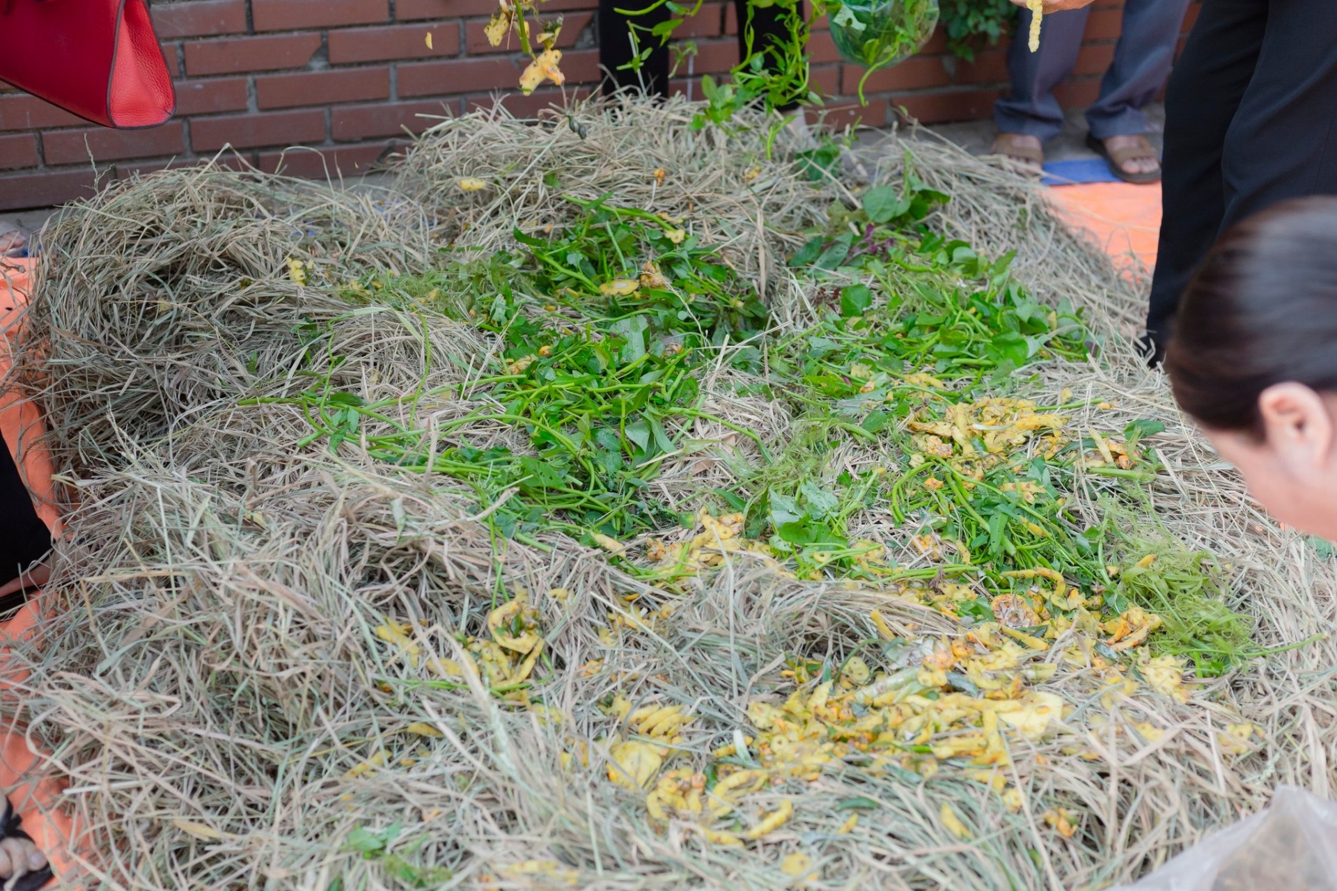 Phụ nữ tích cực tham gia xử lý rơm rạ sau thu hoạch Phụ nữ tích cực tham gia xử lý rơm rạ sau thu hoạch