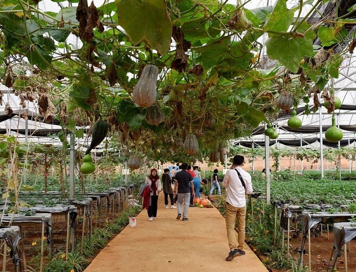 Gắn nông nghiệp với phát triển du lịch làng nghề
