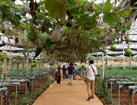 Gắn nông nghiệp với phát triển du lịch làng nghề