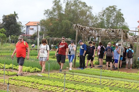 Du lịch nông nghiệp - hướng đi đầy triển vọng