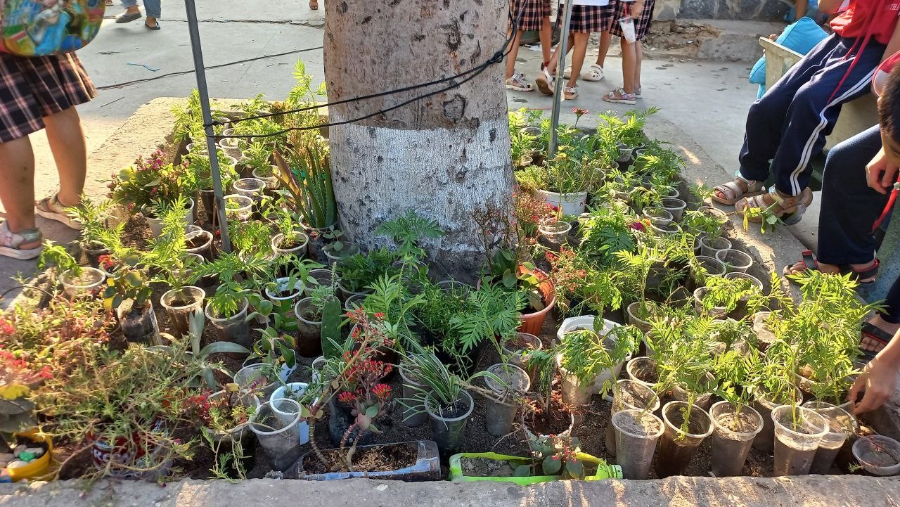 Bình Phước: Thị xã Chơn Thành triển khai ứng dựng IMO trong xây dựng trường học xanh Bình Phước: Thị xã Chơn Thành triển khai ứng dựng IMO trong xây dựng trường học xanh