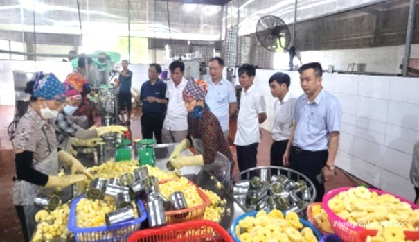 Ninh Bình nghiệm thu đề án khuyến công năm 2023 Ninh Bình nghiệm thu đề án khuyến công năm 2023