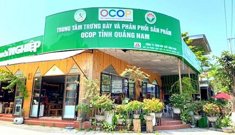 Giới thiệu, quảng bá sản phẩm OCOP Quảng Nam