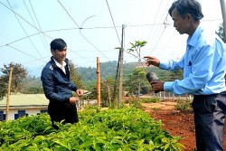 Quảng Trị: Phát huy vai trò HTX nông nghiệp trong xây dựng nông thôn mới